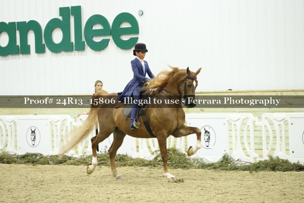 Proof Number 24R13_15806