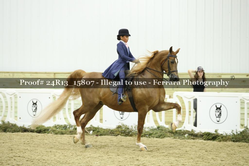 Proof Number 24R13_15807