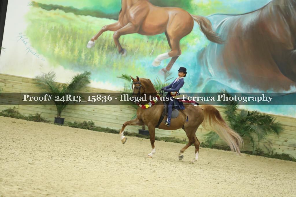Proof Number 24R13_15836
