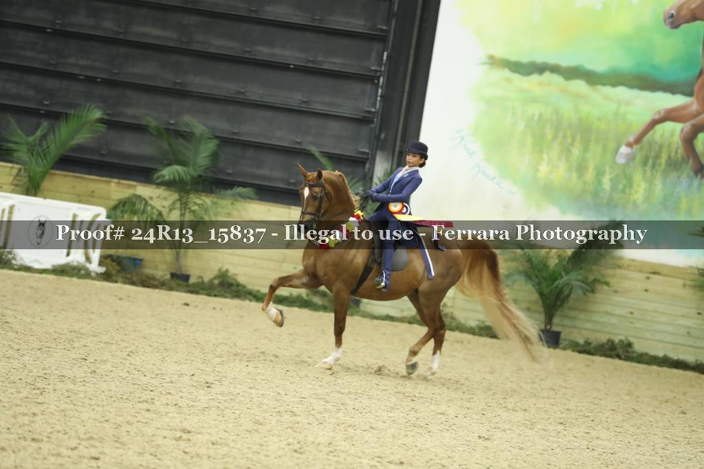 Proof Number 24R13_15837