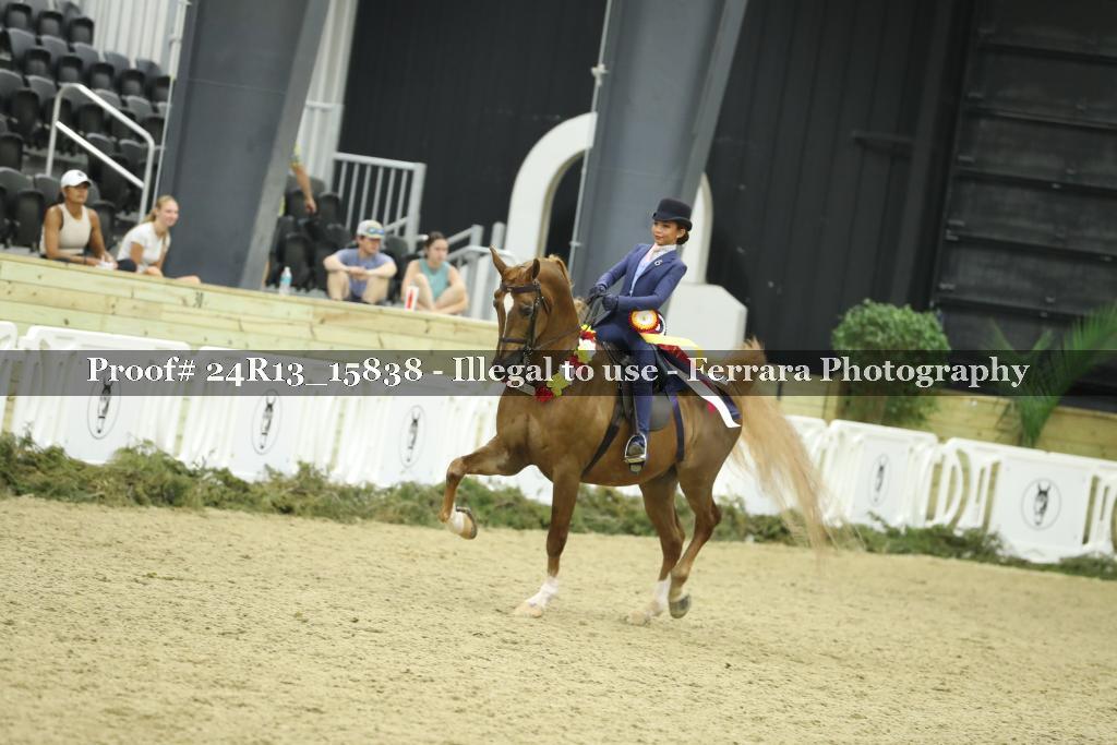 Proof Number 24R13_15838