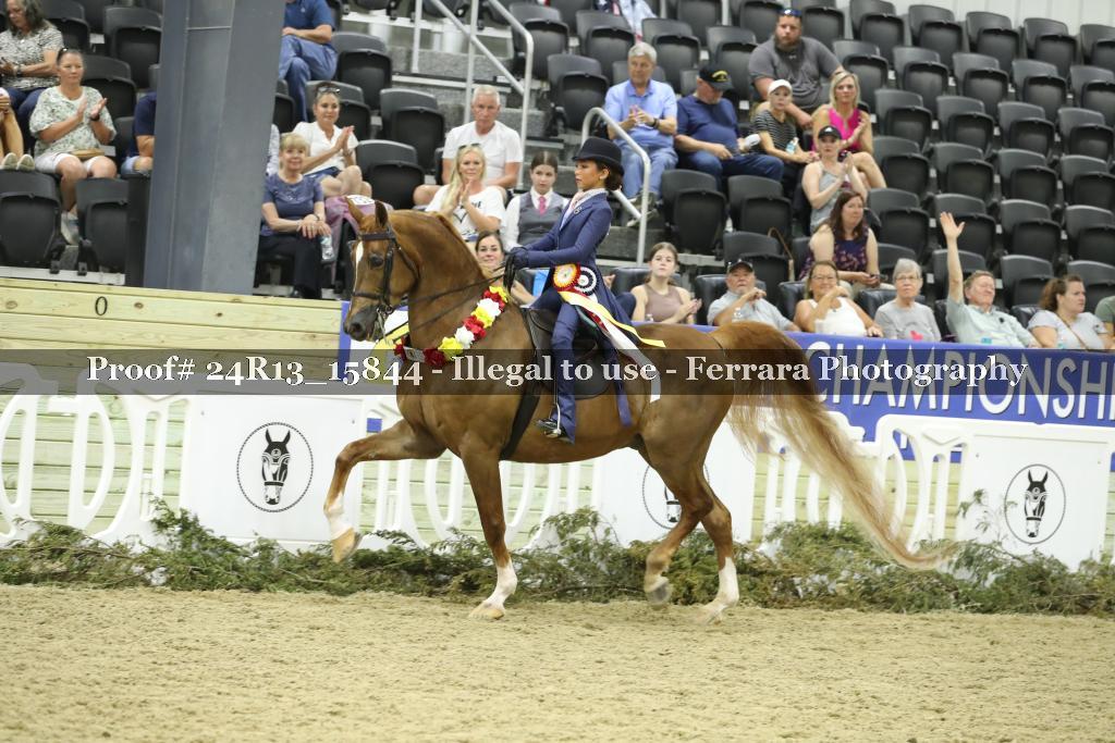 Proof Number 24R13_15844