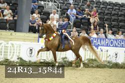 24R13_15844 thumbnail