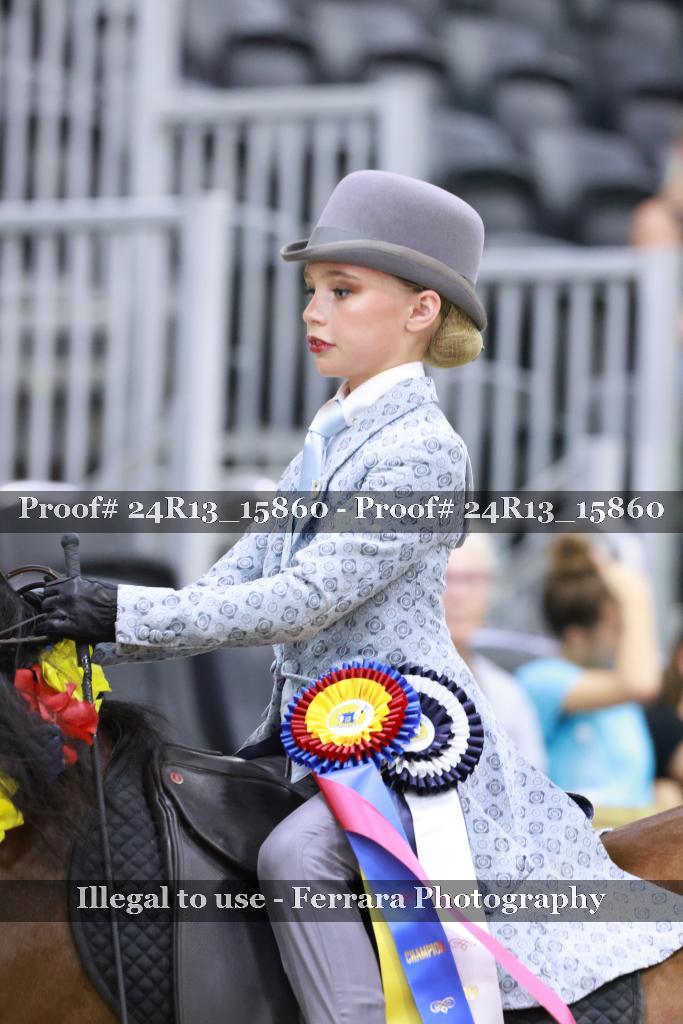 Proof Number 24R13_15860