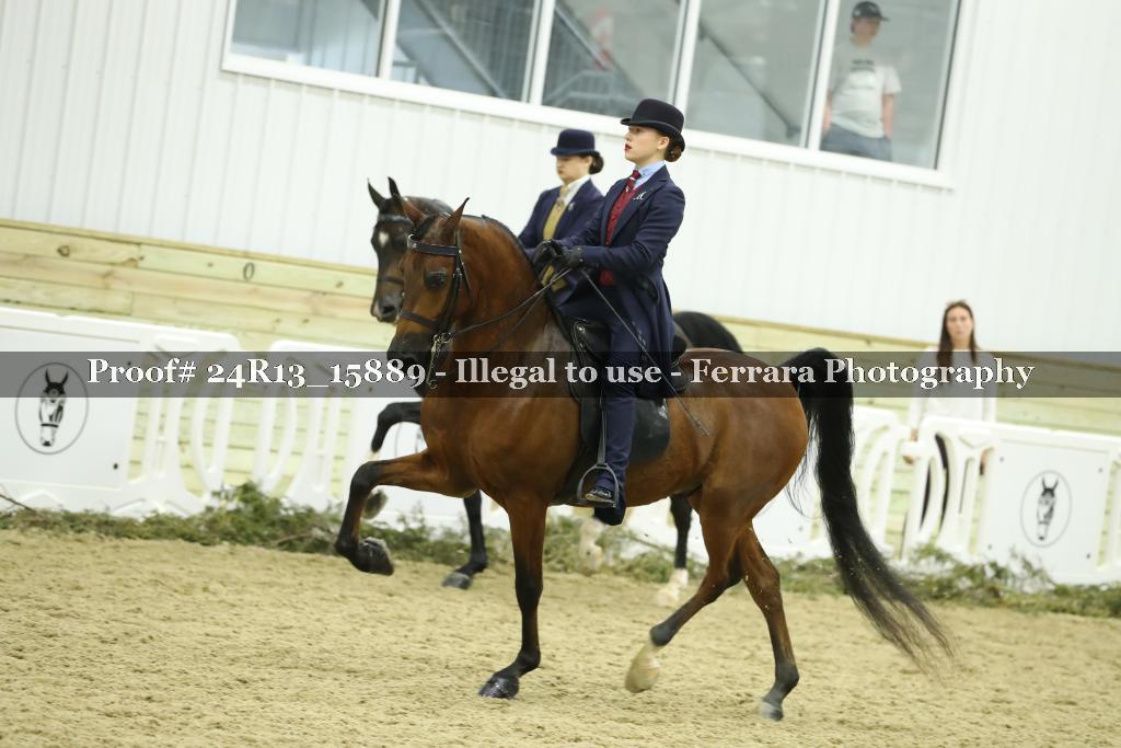 Proof Number 24R13_15889
