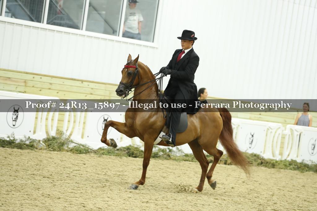 Proof Number 24R13_15897