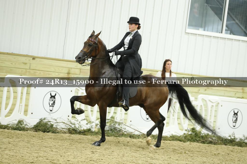 Proof Number 24R13_15900