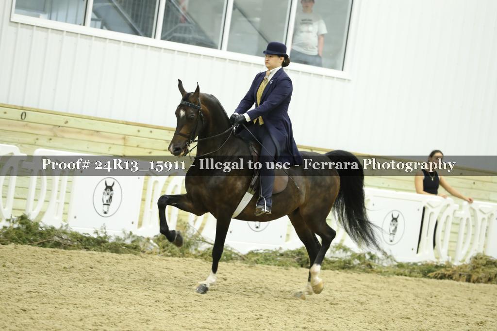 Proof Number 24R13_15911