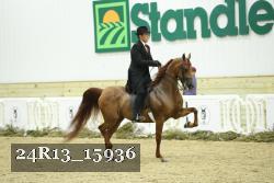 24R13_15936 thumbnail