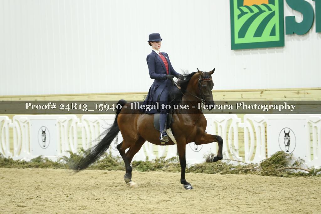 Proof Number 24R13_15940