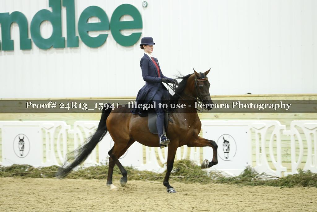 Proof Number 24R13_15941