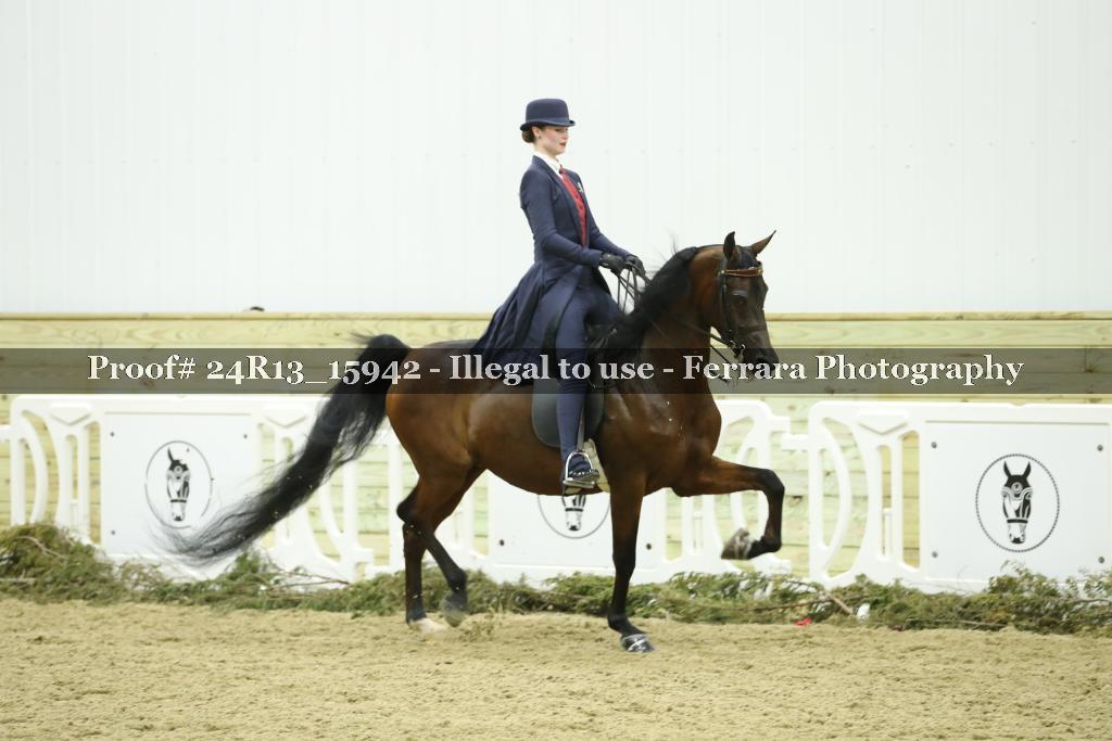 Proof Number 24R13_15942