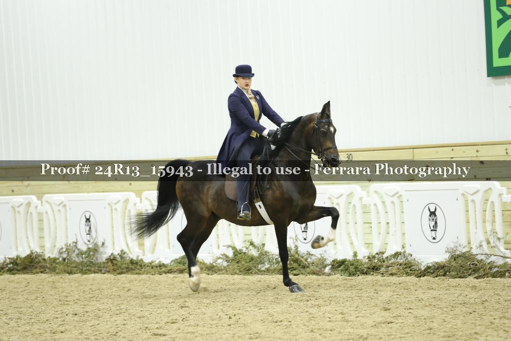 Proof Number 24R13_15943
