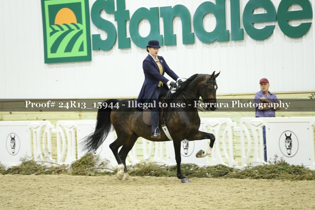 Proof Number 24R13_15944