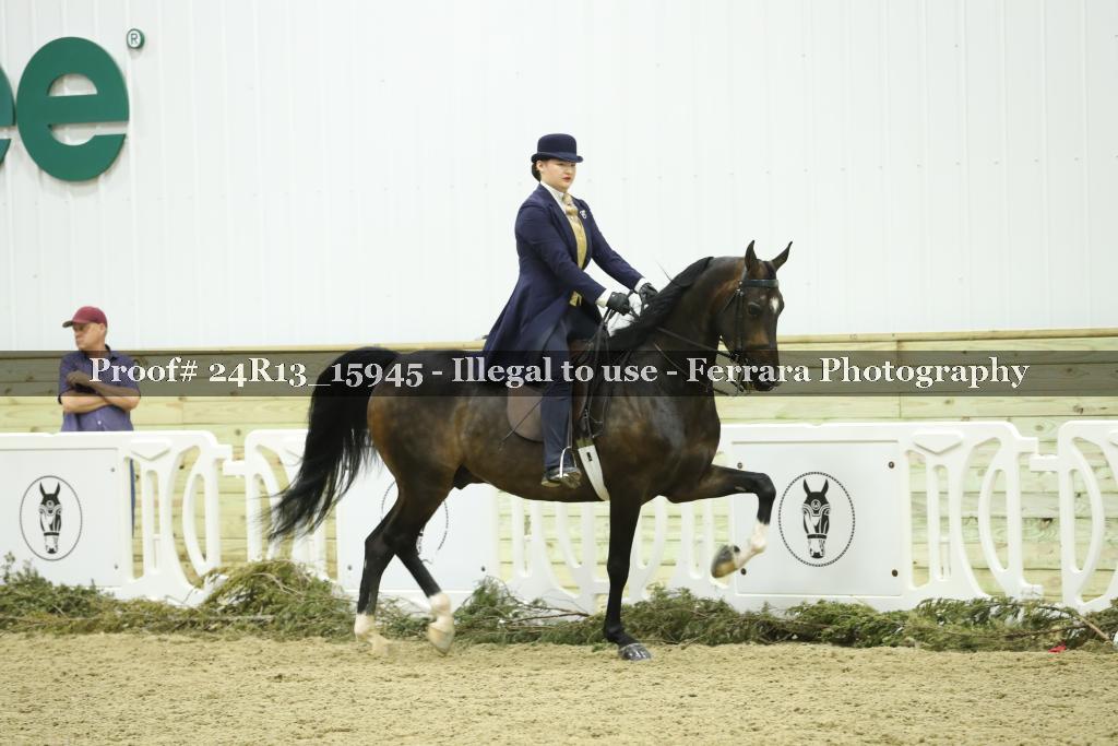 Proof Number 24R13_15945