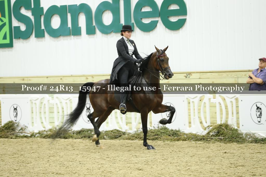 Proof Number 24R13_15947