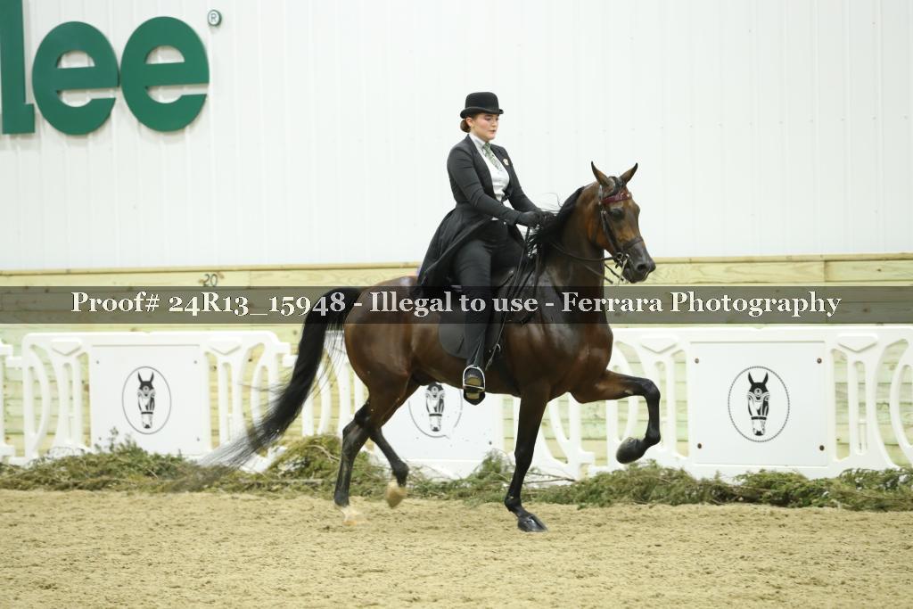 Proof Number 24R13_15948