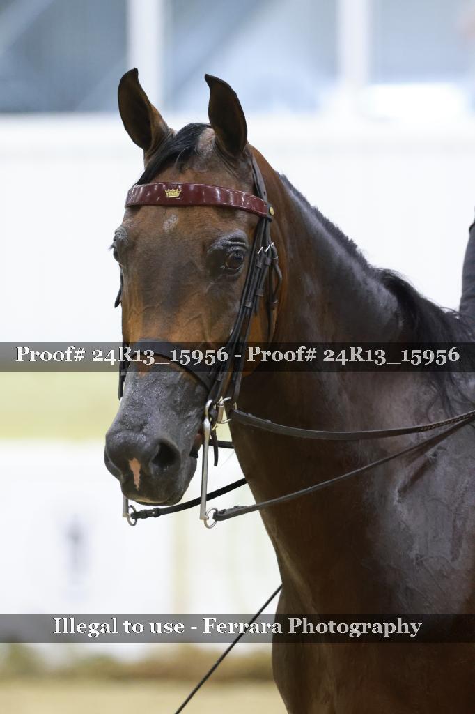 Proof Number 24R13_15956