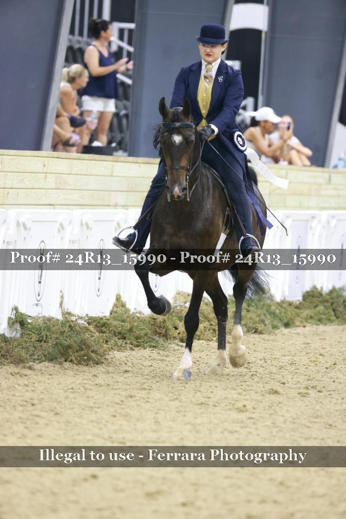 Proof Number 24R13_15990