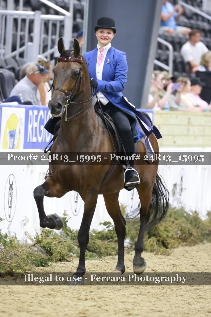 Proof Number 24R13_15995