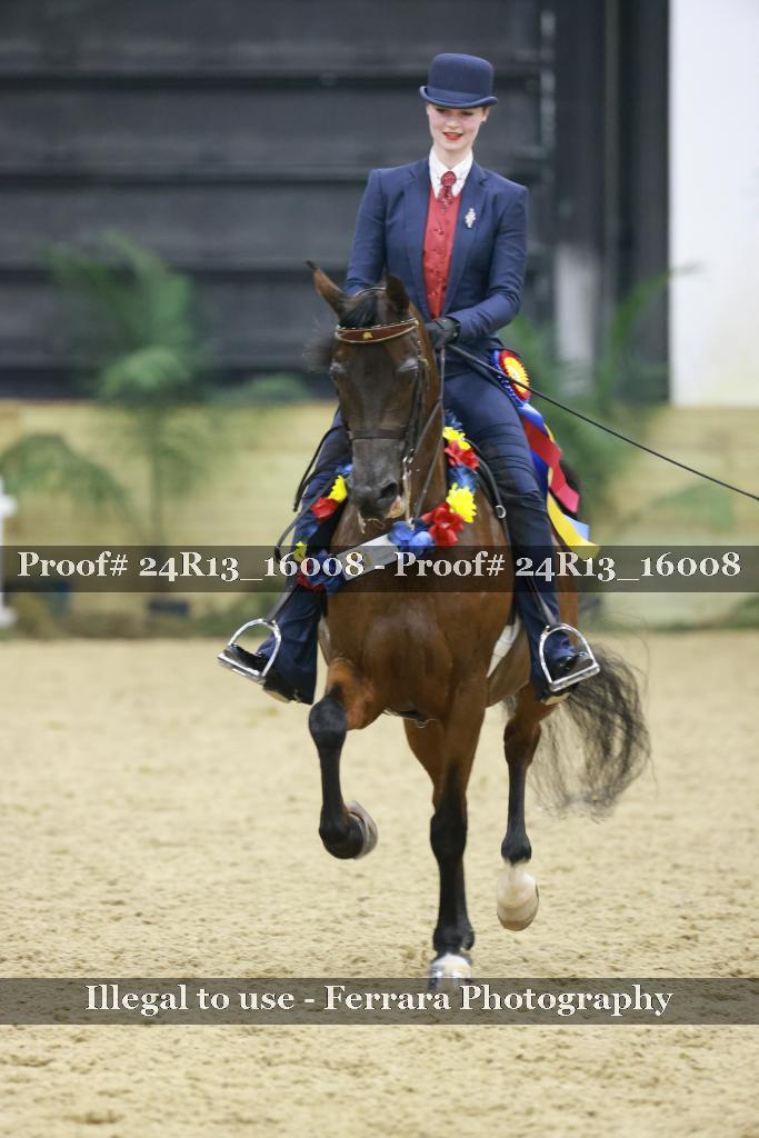 Proof Number 24R13_16008