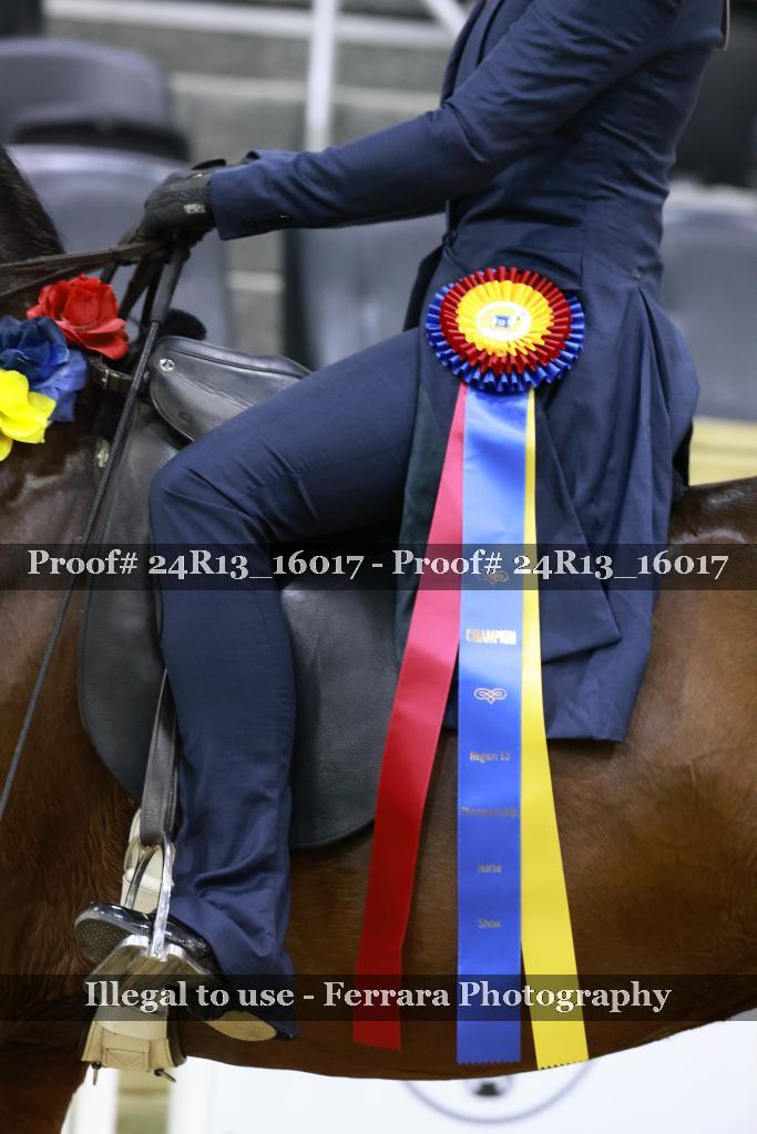 Proof Number 24R13_16017