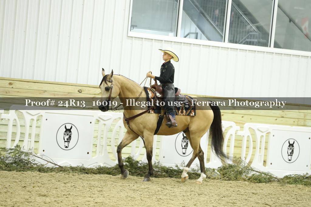 Proof Number 24R13_16019