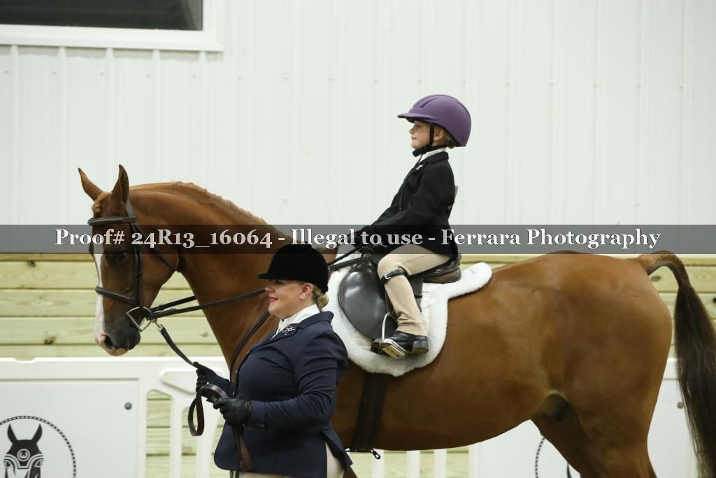 Proof Number 24R13_16064
