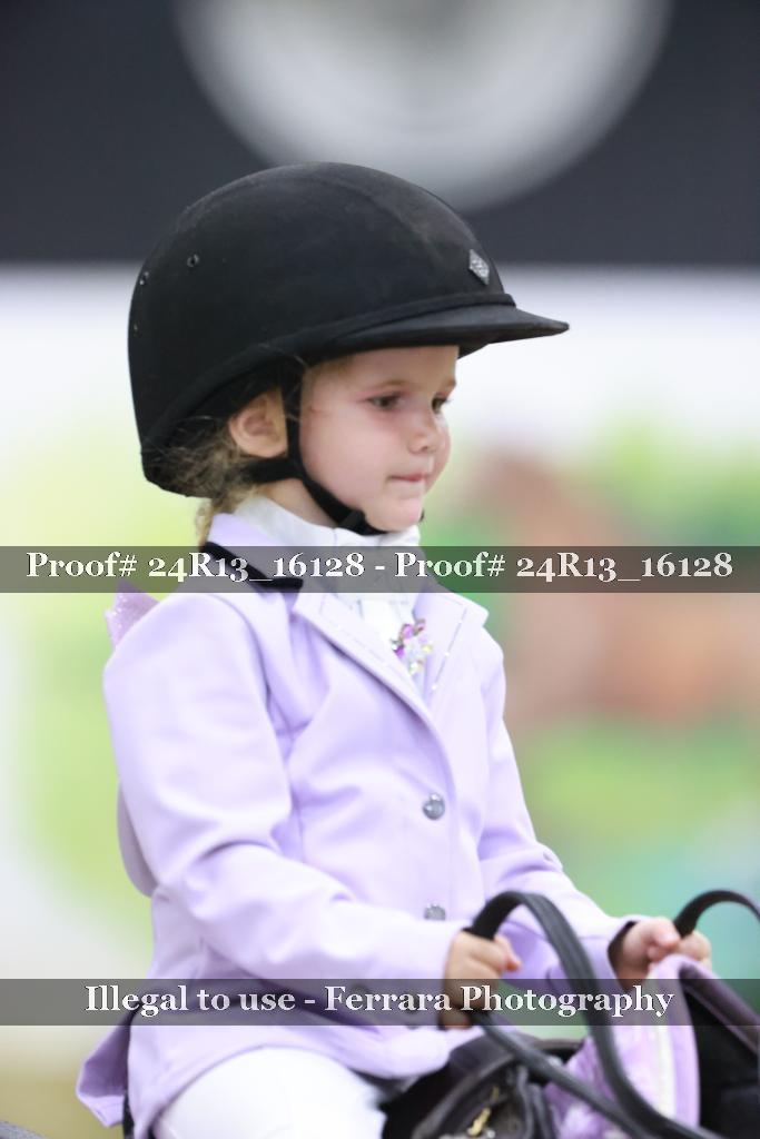 Proof Number 24R13_16128