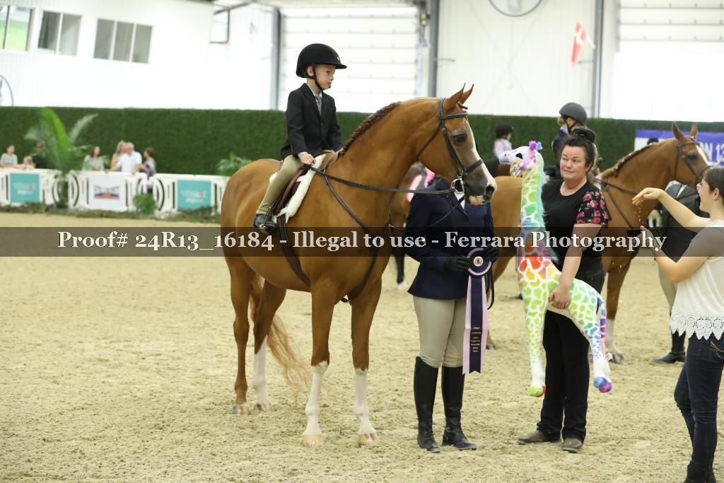 Proof Number 24R13_16184