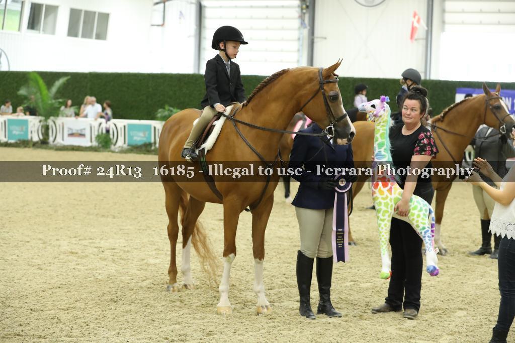 Proof Number 24R13_16185