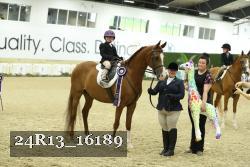 24R13_16189 thumbnail
