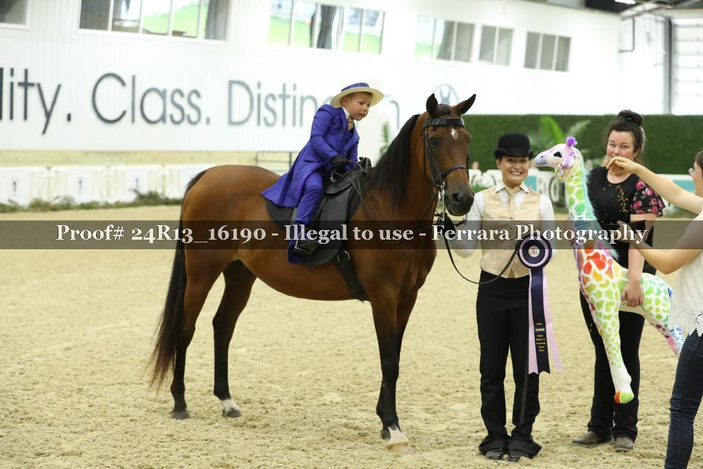Proof Number 24R13_16190