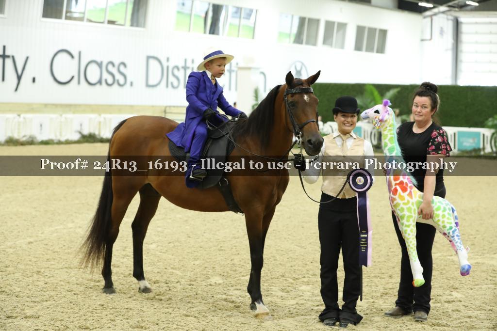 Proof Number 24R13_16193