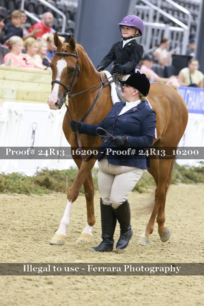 Proof Number 24R13_16200