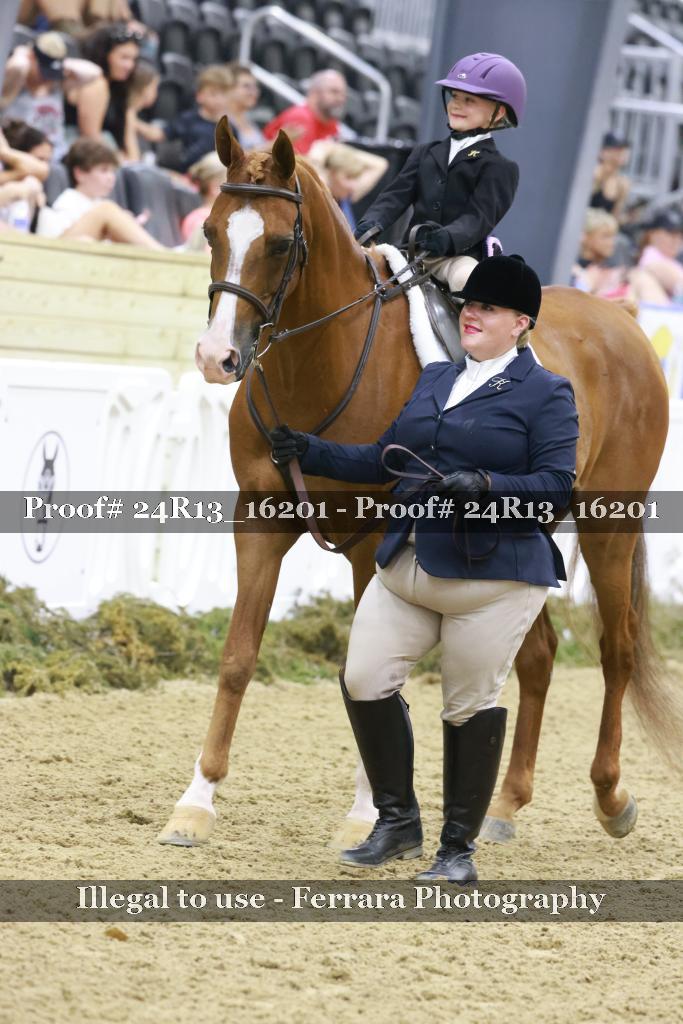 Proof Number 24R13_16201