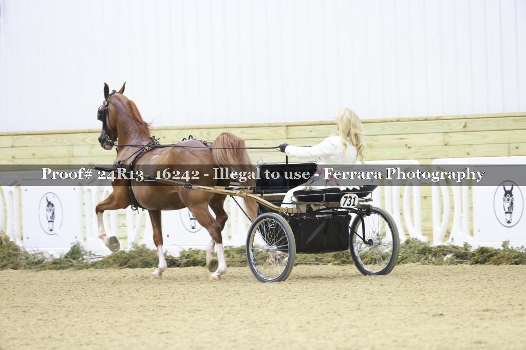 Proof Number 24R13_16242