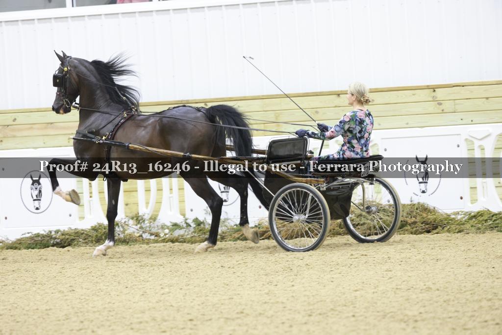 Proof Number 24R13_16246