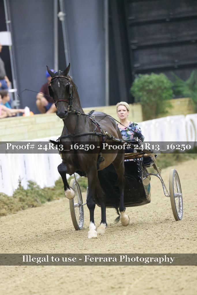 Proof Number 24R13_16250