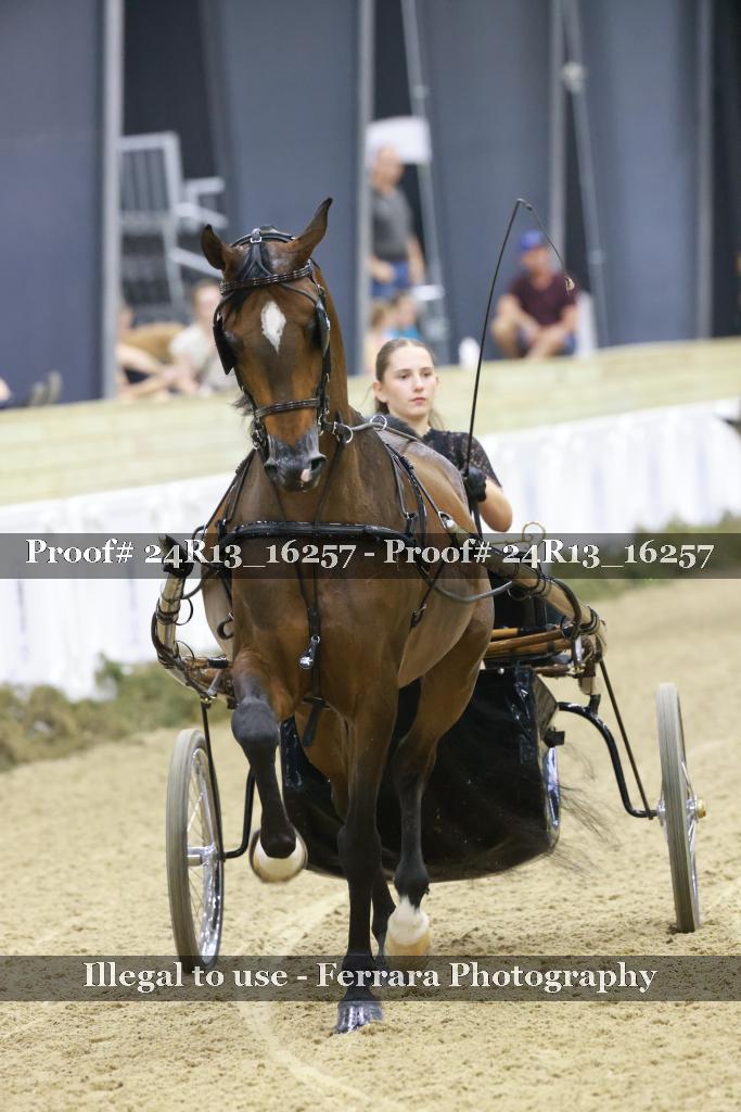 Proof Number 24R13_16257