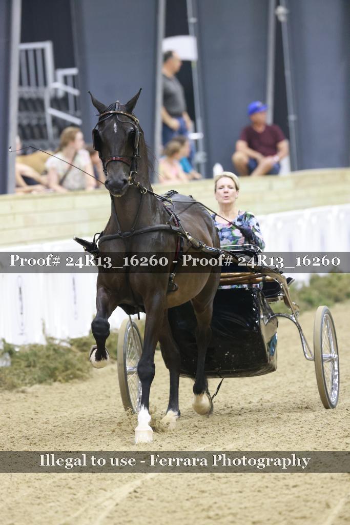 Proof Number 24R13_16260