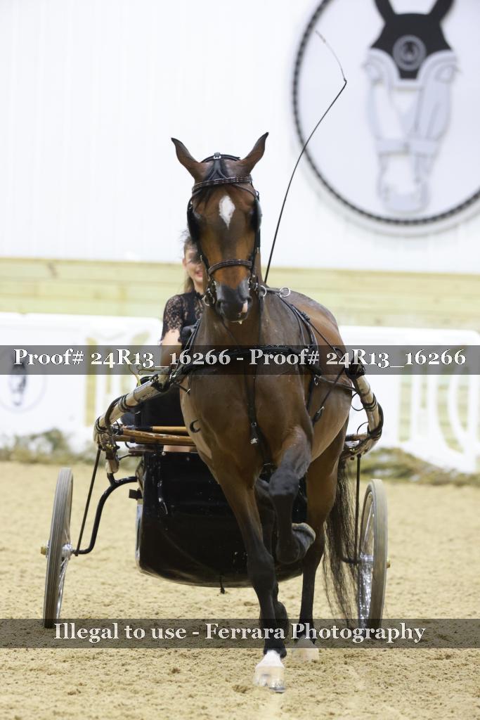 Proof Number 24R13_16266