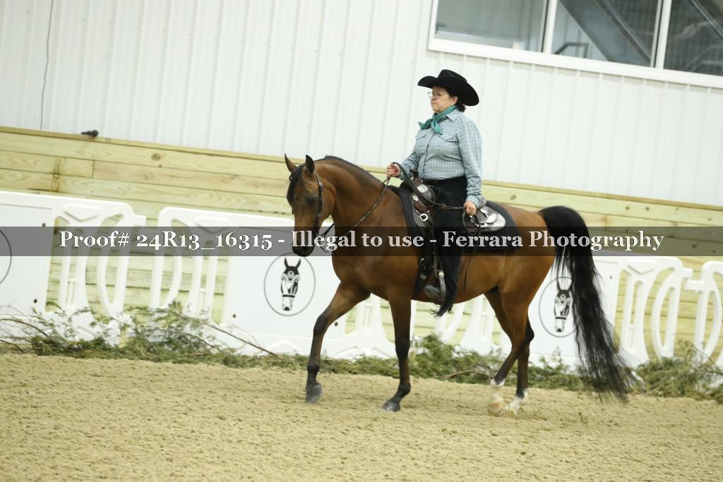 Proof Number 24R13_16315