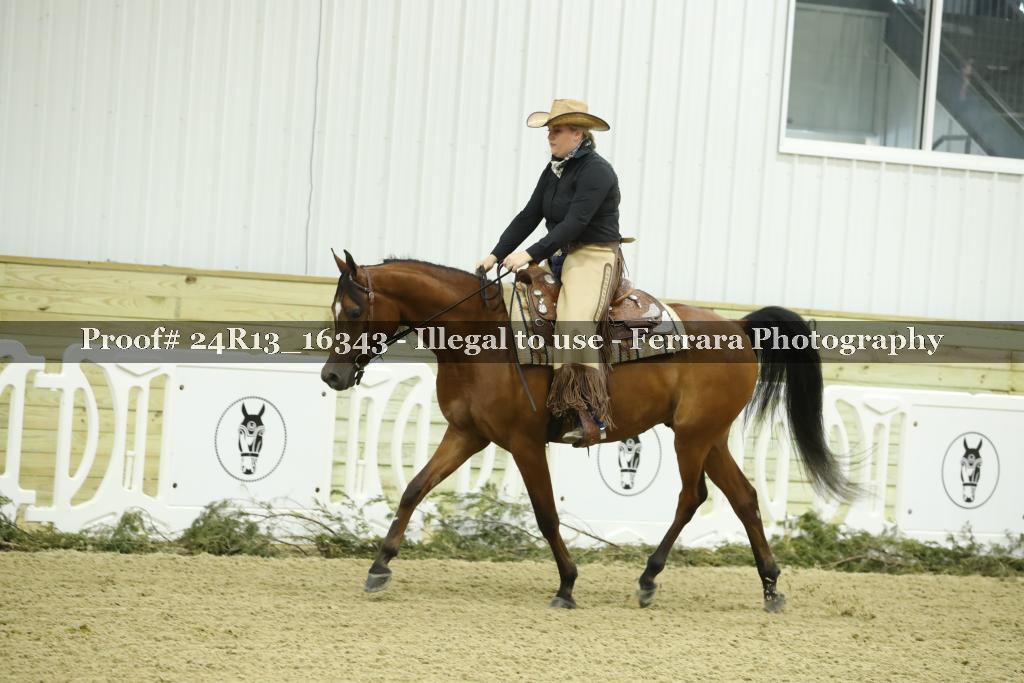 Proof Number 24R13_16343