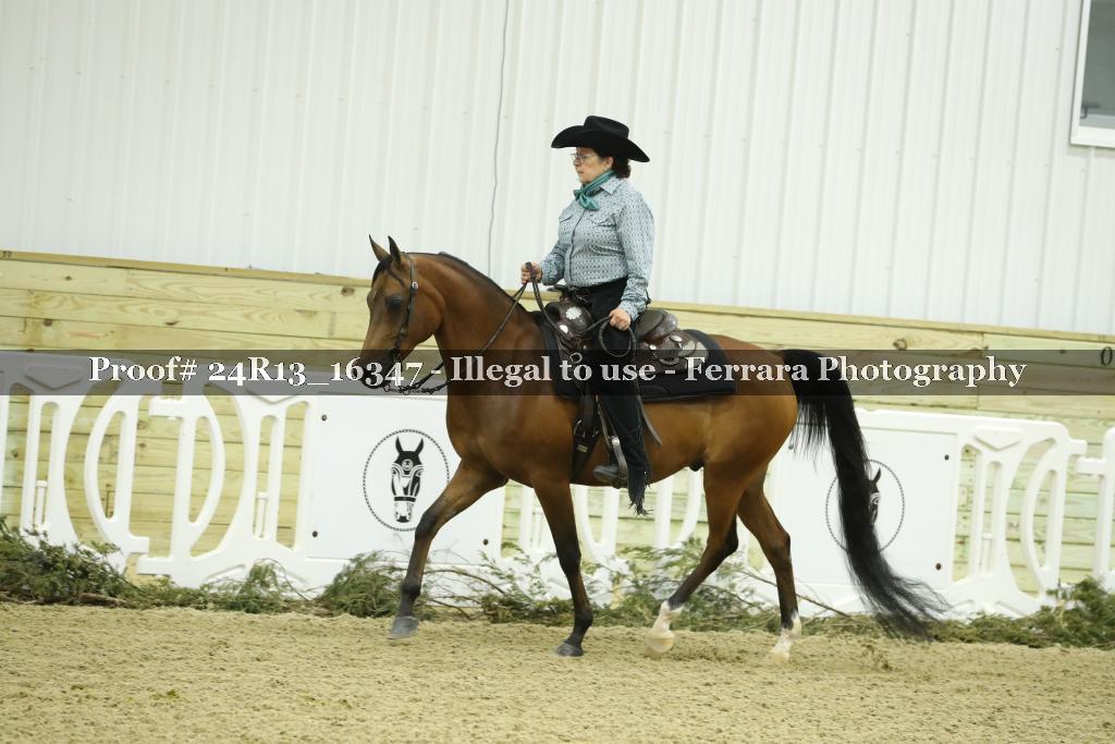 Proof Number 24R13_16347