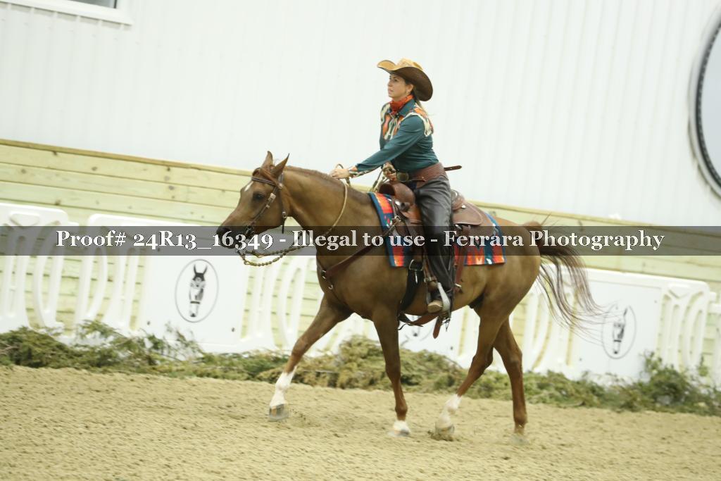 Proof Number 24R13_16349
