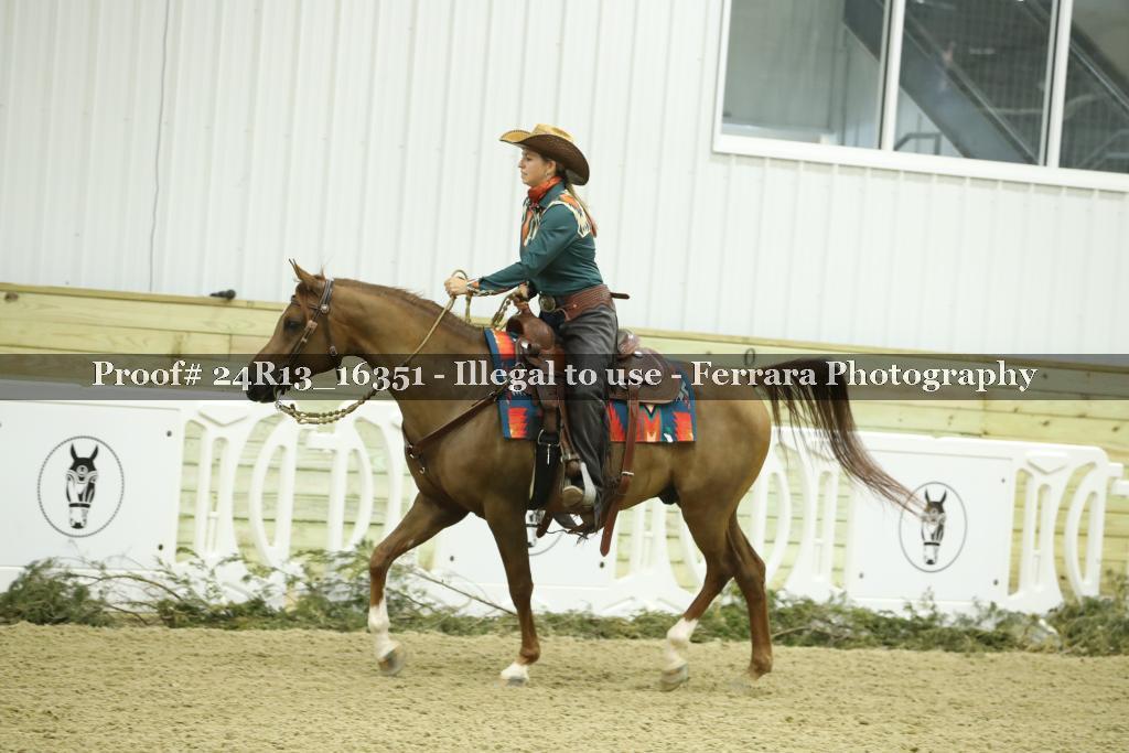 Proof Number 24R13_16351