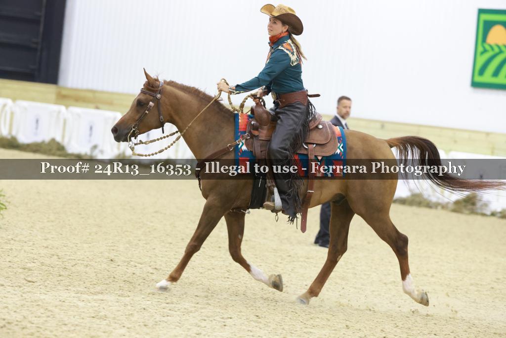 Proof Number 24R13_16353