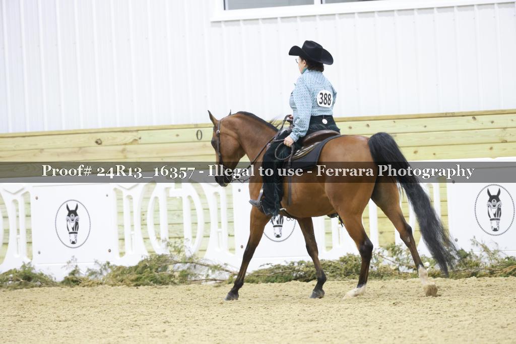 Proof Number 24R13_16357