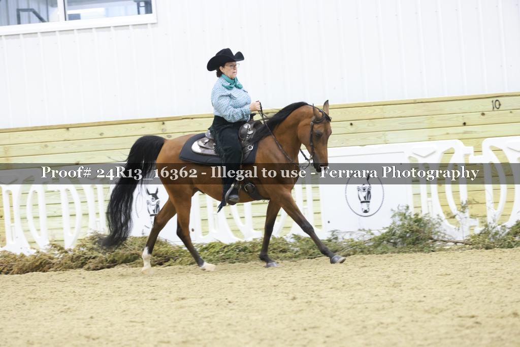 Proof Number 24R13_16362